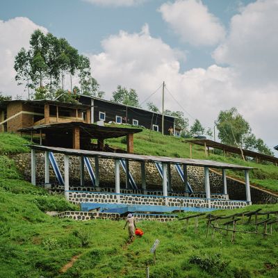 Rwanda Nyakarenzo - Limited Edition – Filter