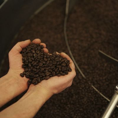 Boot Bio Blend Organic Espresso