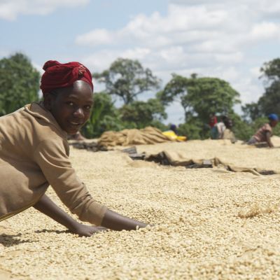 Ethiopië Sasaba Espresso - Limited Edition