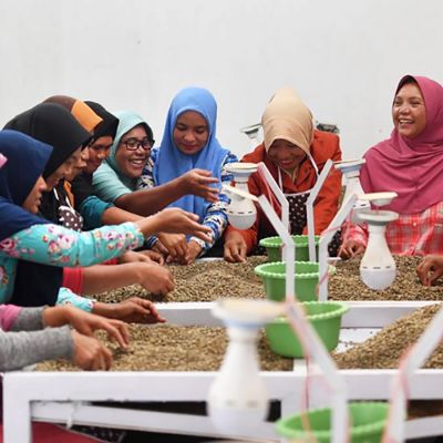 Indonesië Sumatra Ketiara Organic Filter