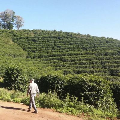 Brazil Santos Espresso