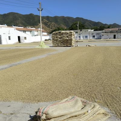 Colombia Kachalu Organic Espresso