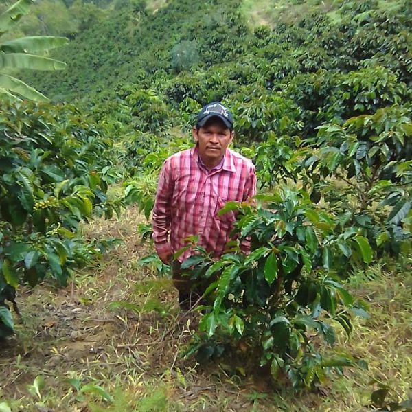 Coffee for Peace Pakket - Premium - 4-delig 250 grams Espresso