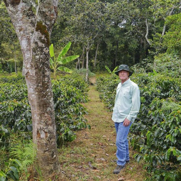 Coffee for Peace Pakket - Premium - 4-delig 250 grams Espresso