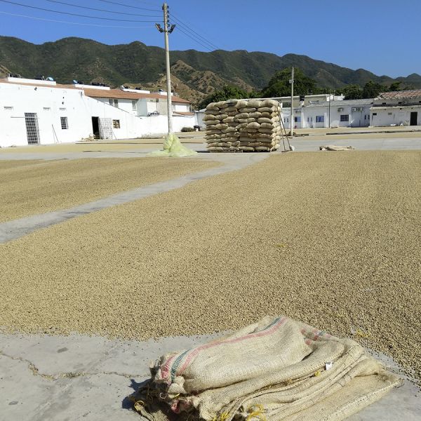 Colombia Cafeïnevrij Organic Kachalu Santander Espresso