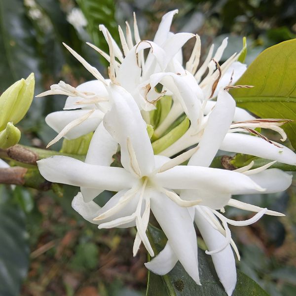 Tegen Verspilling-1 kg verpakking