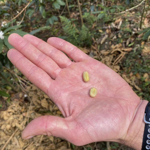 Tegen Verspilling 1 kg - 25% korting