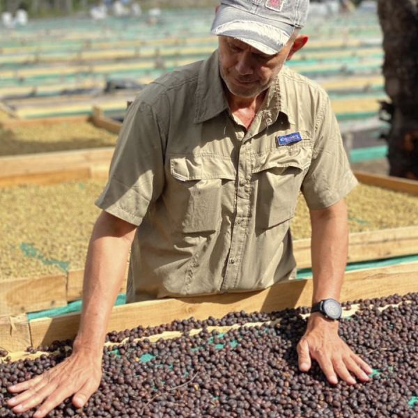 Panama Kotowa Honey - Limited Edition - Espresso