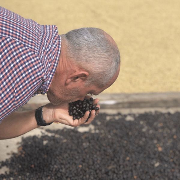 Panama Kotowa Heirloom Anaerobic – Ultra Limited - Espresso
