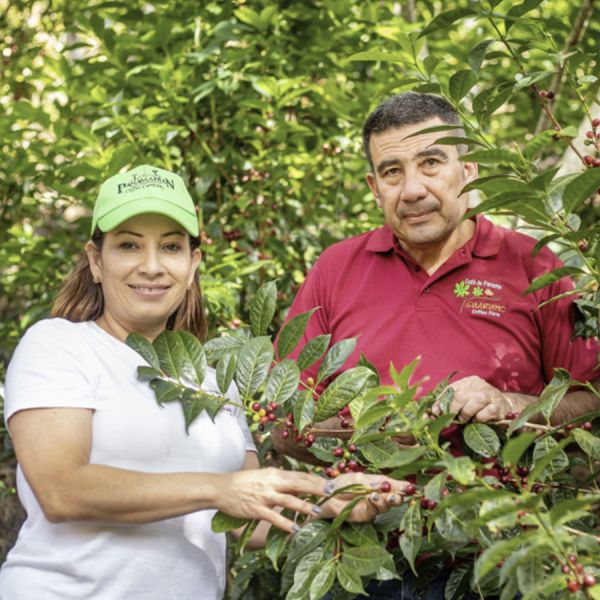 Panama Mi Finquita Natural Espresso - Limited Edition