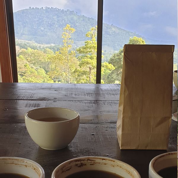 Panama Mi Finquita Natural Espresso - Limited Edition