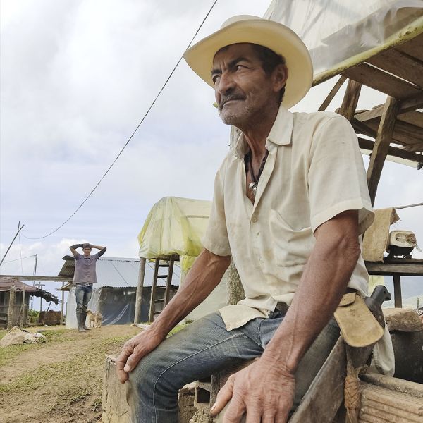 Colombia Dairo Heliberto C4P - Limited Edition - Espresso