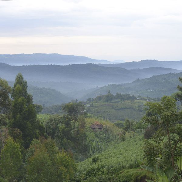 Ethiopië Sasaba Filter - Limited Edition