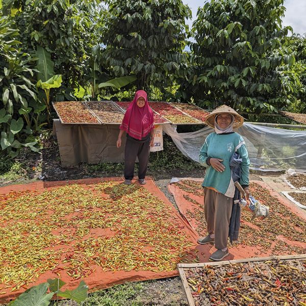 Indonesië Java Sindoro Double Fermented Espresso - Limited Edition