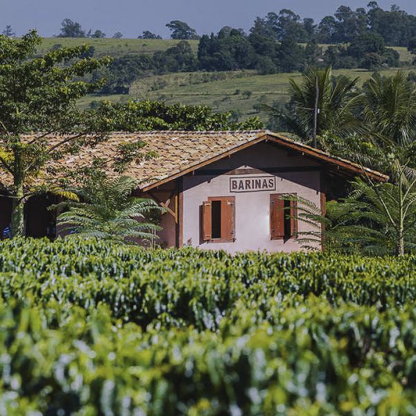 Brazil Santos Espresso