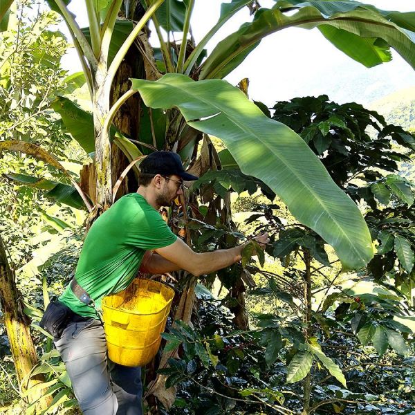 Colombia Kachalu Organic Filter