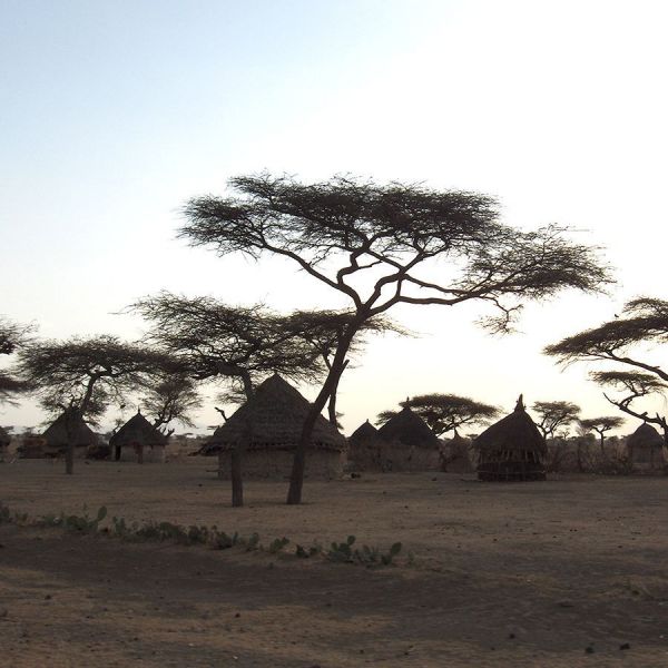 Ethiopië Organic Filter