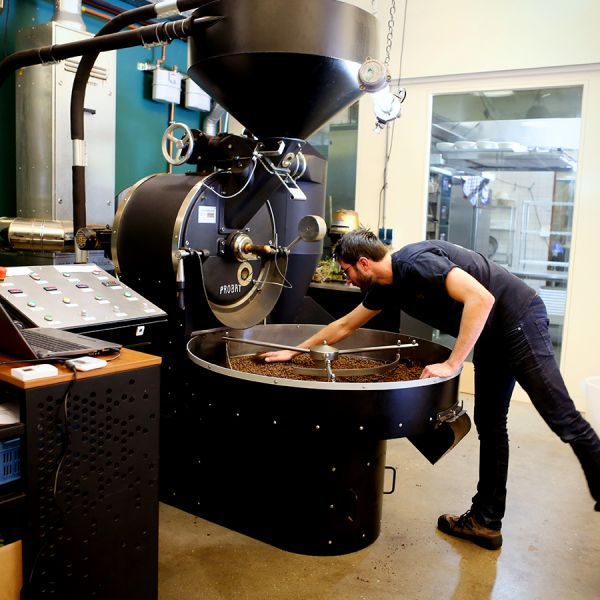 Mystery Dark Roast Espresso