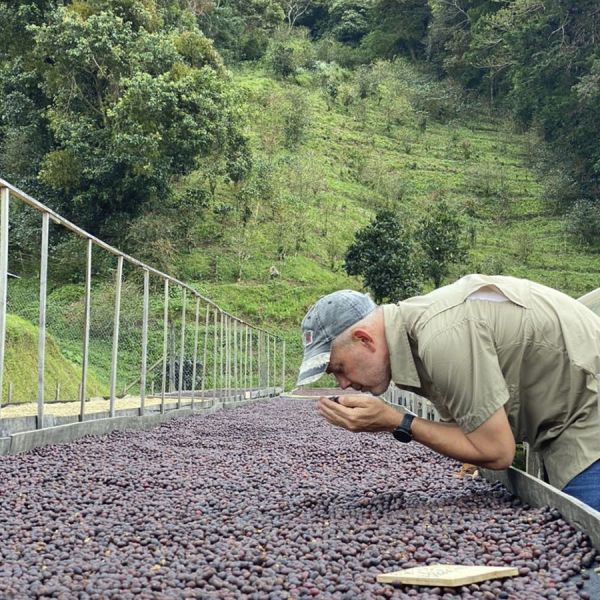 Panamaria Espresso