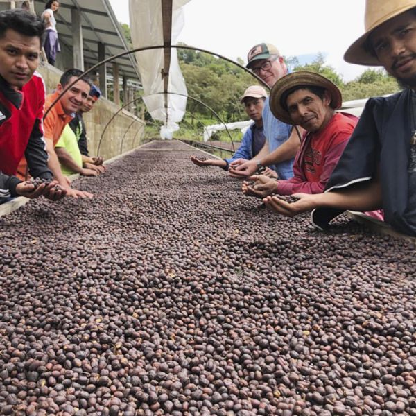 Panama Finca La Cabra - Geisha Natural Filter – Ultra Limited