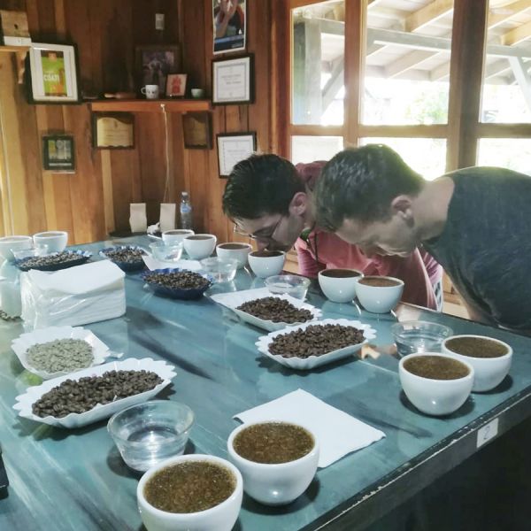 Panama Mi Finquita Lot: Casa Natural Espresso - Ultra Limited