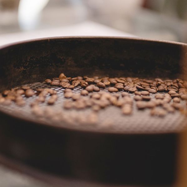 B 183 Workshop Barista – Zondag 19 april – Aanvang 09:55 uur – Het Lokaal Amersfoort