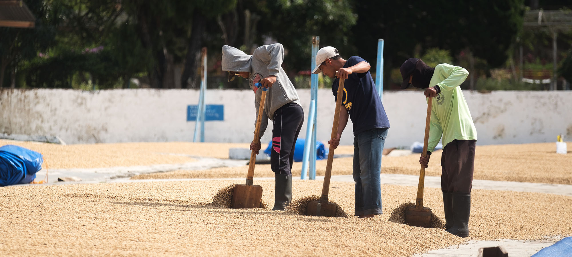 Afbeelding zonder ALT