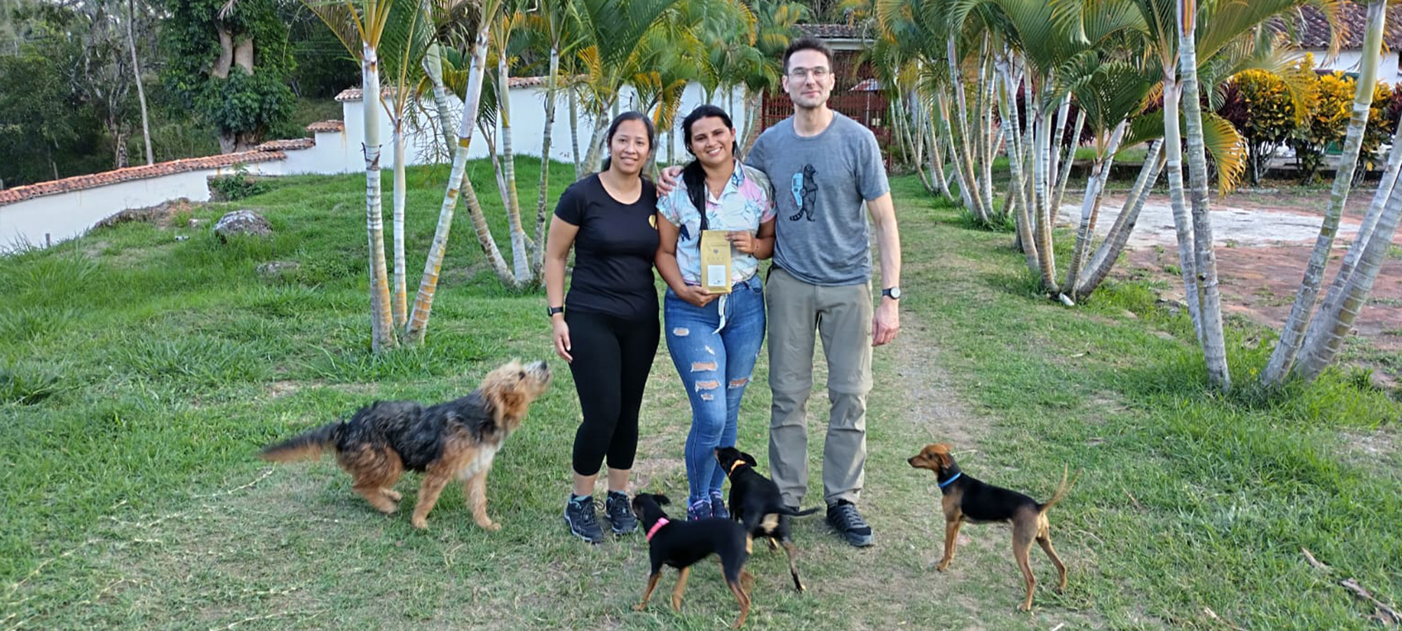 Afbeelding zonder ALT